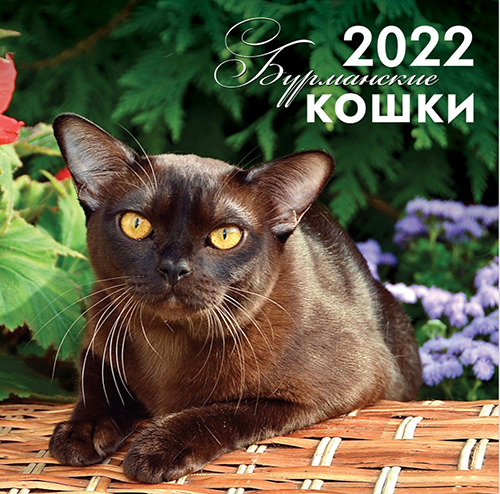 Календарь кошек Бурма 2022 года